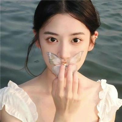 冬之光